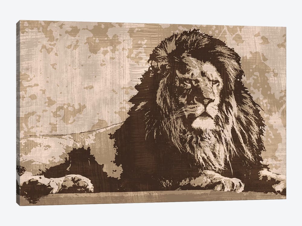 Lion by Andrew Cooper 1-piece Canvas Wall Art