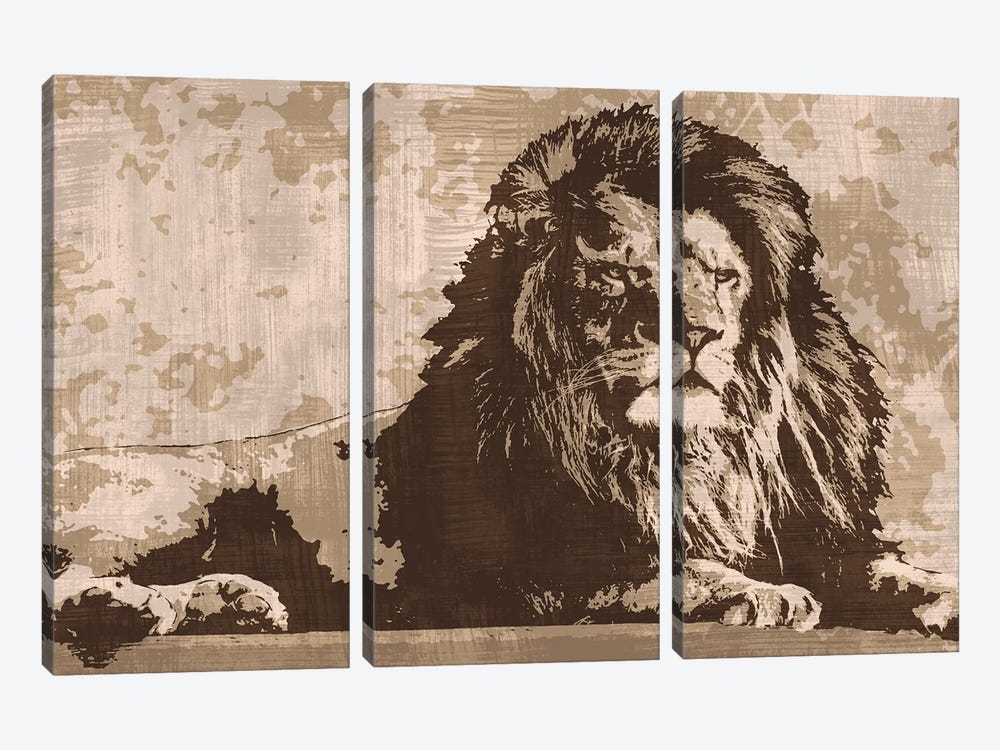 Lion by Andrew Cooper 3-piece Canvas Art