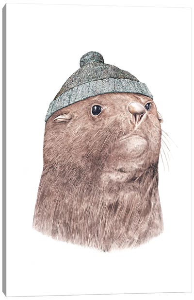 Fur Seal Canvas Art Print - Animal Crew