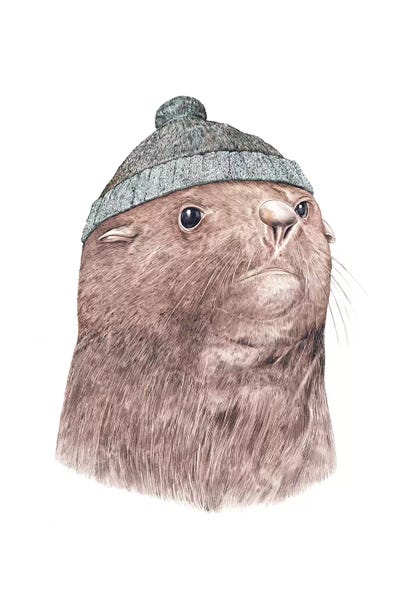 Seals: Fur Seal by Animal Crew