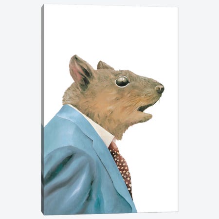 Grey Squirrel Canvas Print #ACR21} by Animal Crew Canvas Print
