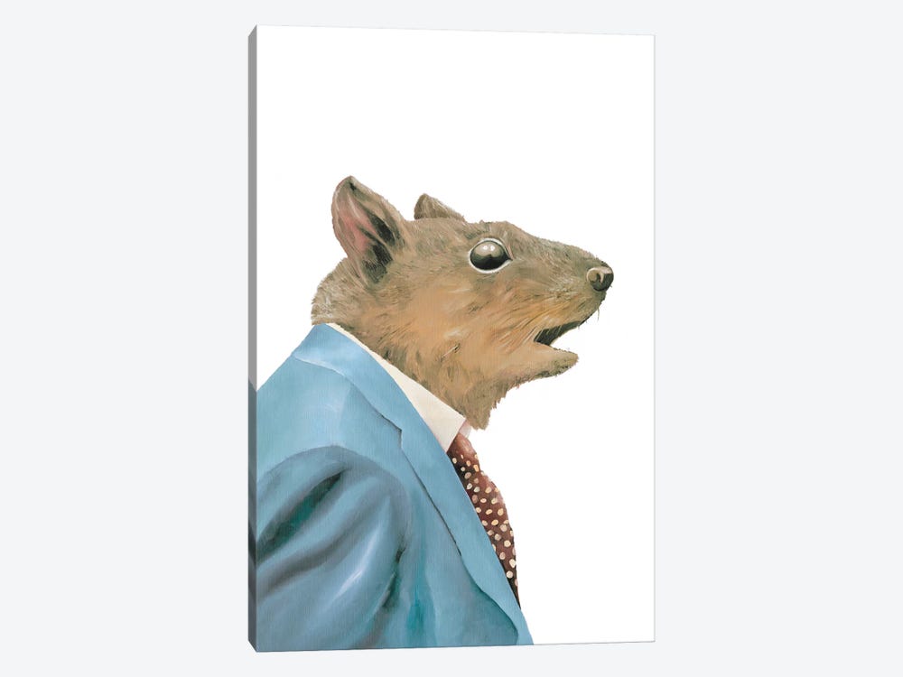 Grey Squirrel by Animal Crew 1-piece Canvas Print