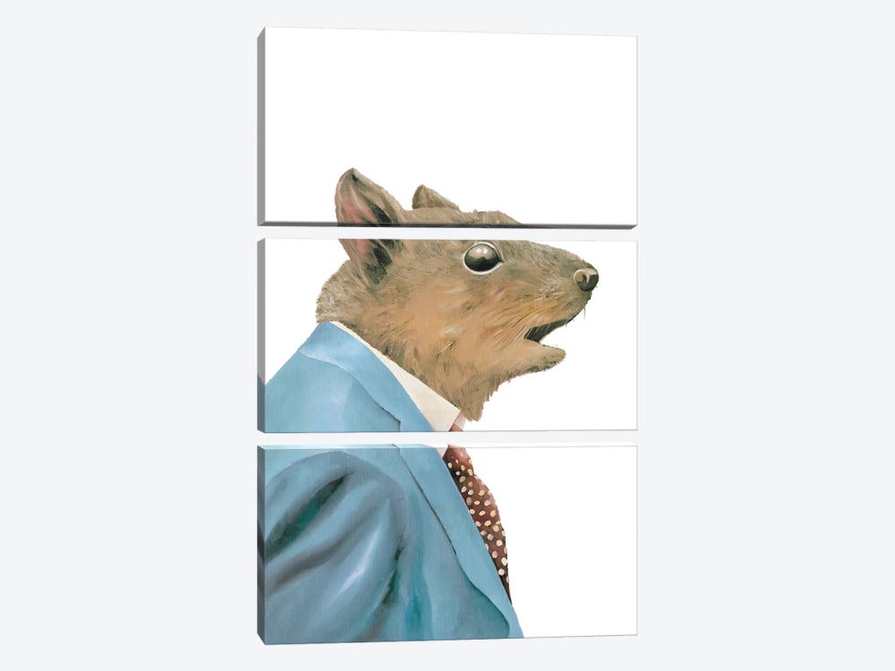 Grey Squirrel by Animal Crew 3-piece Art Print