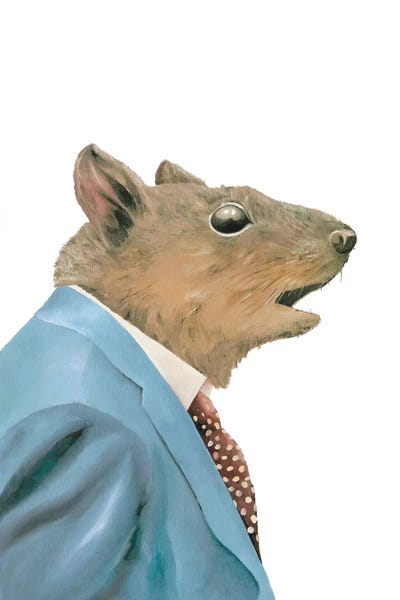 Squirrels: Grey Squirrel by Animal Crew