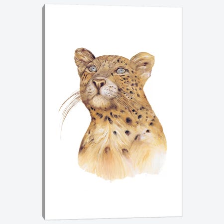 Leopard Canvas Print #ACR30} by Animal Crew Canvas Art