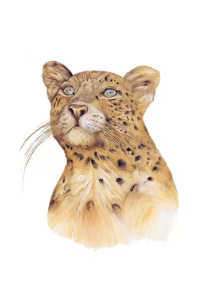 Leopards: Leopard by Animal Crew