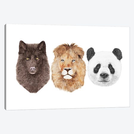 Lion Wolf And Panda Canvas Print #ACR31} by Animal Crew Canvas Wall Art