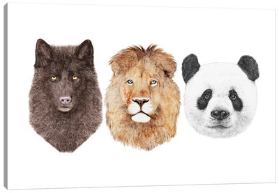 Lion Wolf And Panda Canvas Art Print - Animal Crew