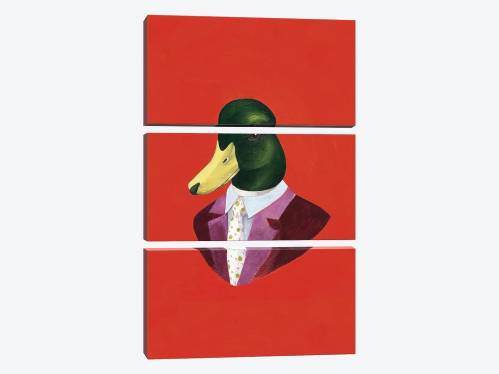 Mallard Duck by Animal Crew 3-piece Art Print