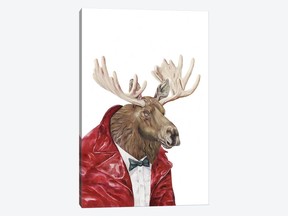 Moose In Leather by Animal Crew 1-piece Canvas Wall Art