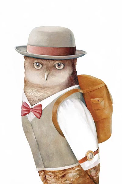 Owl Traveller