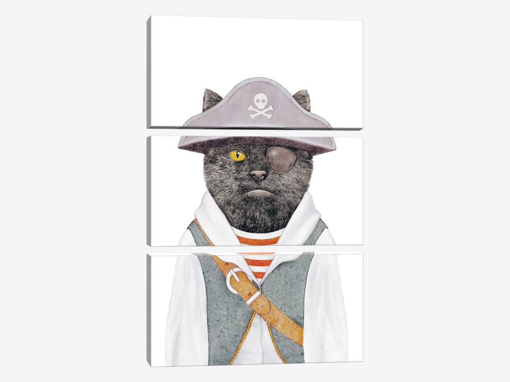 Pirate Cat by Animal Crew 3-piece Canvas Print