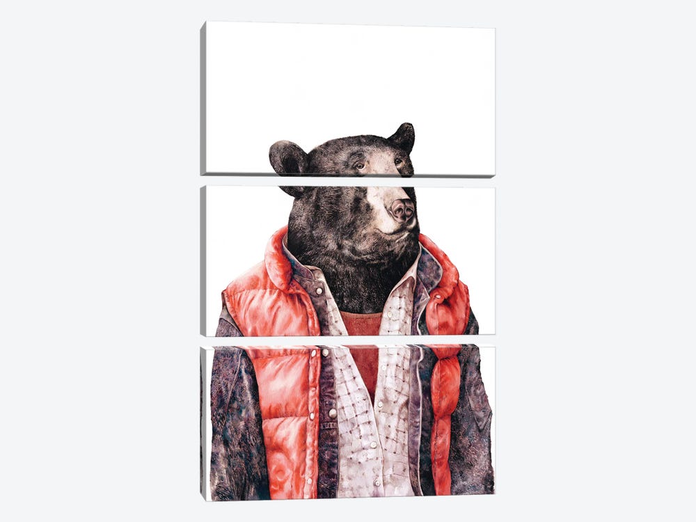 Black Bear by Animal Crew 3-piece Canvas Artwork