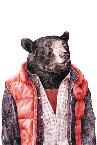 Black Bears: Black Bear by Animal Crew