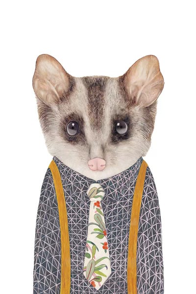 Possum