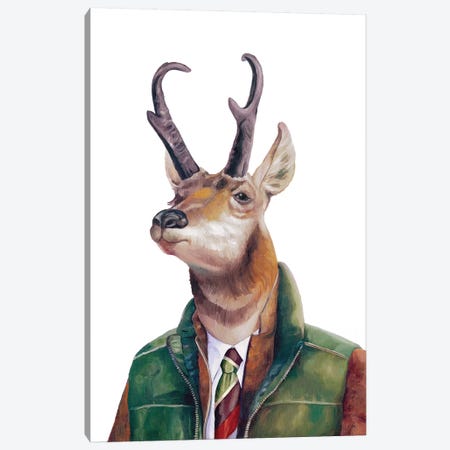 Pronghorn Canvas Print #ACR41} by Animal Crew Canvas Art Print