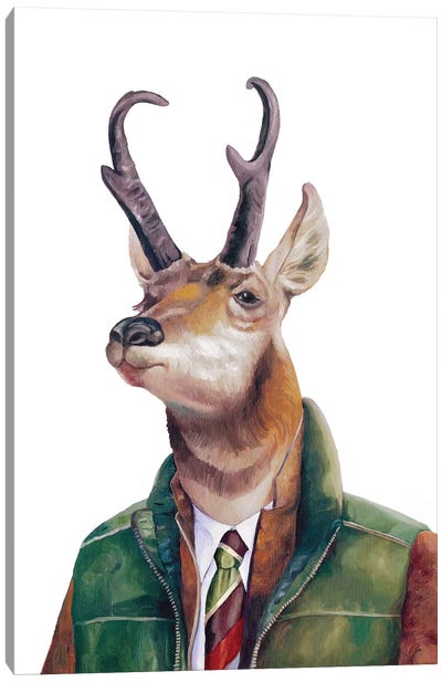Pronghorn Canvas Art Print - Antelopes