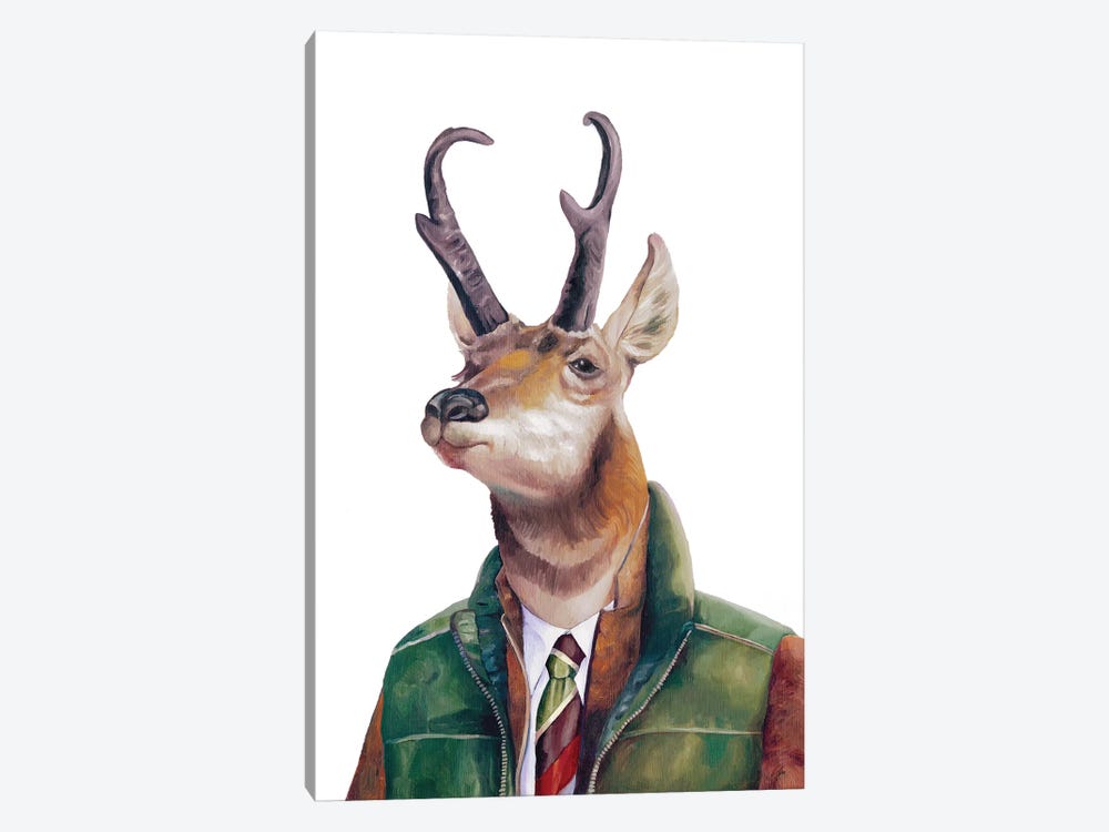 Pronghorn by Animal Crew 1-piece Canvas Art Print