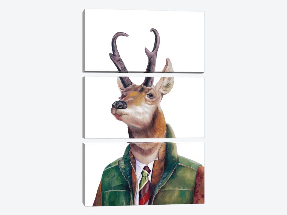 Pronghorn by Animal Crew 3-piece Art Print