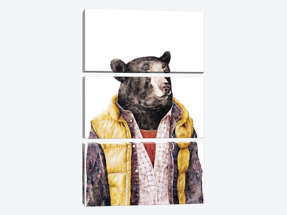 Black Bear Gold by Animal Crew 3-piece Canvas Art Print