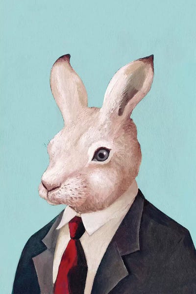 White Rabbit
