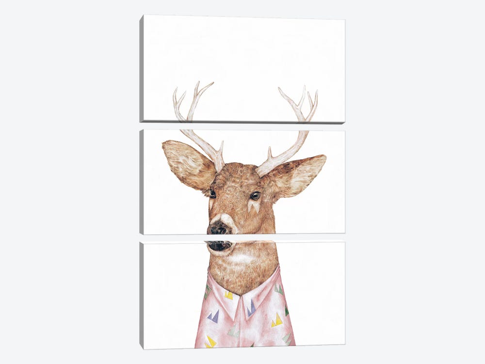 White-Tailed Deer by Animal Crew 3-piece Canvas Artwork