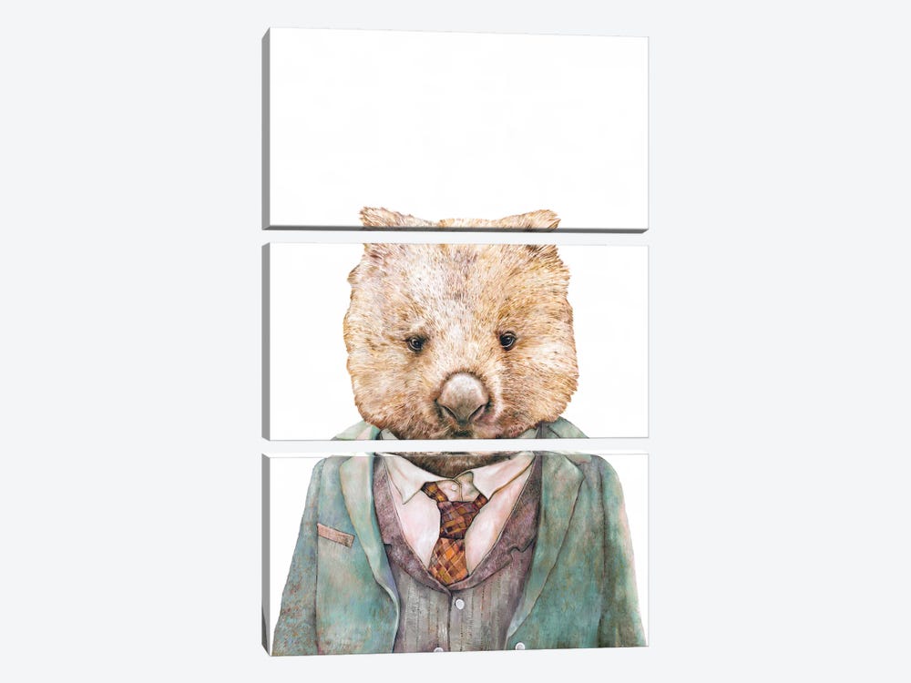 Wombat by Animal Crew 3-piece Canvas Artwork