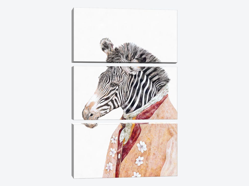 Zebra by Animal Crew 3-piece Canvas Artwork