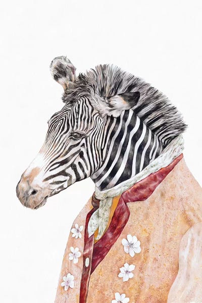 Zebras: Zebra by Animal Crew