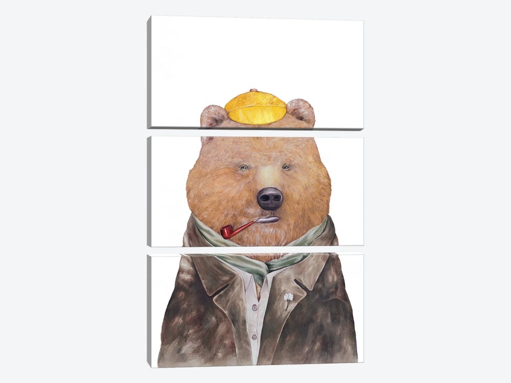 Brown Bear by Animal Crew 3-piece Art Print