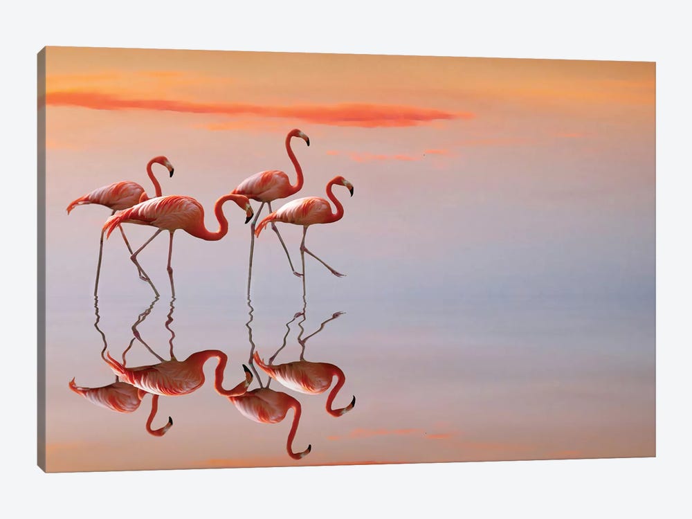 Flamingos Family by Anna Cseresnjes 1-piece Canvas Wall Art