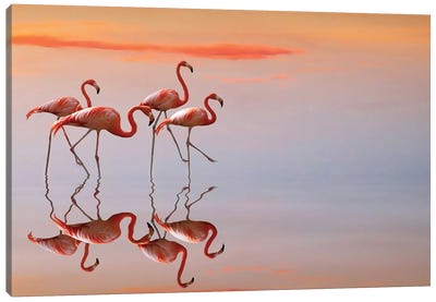 Flamingos Family Canvas Art Print