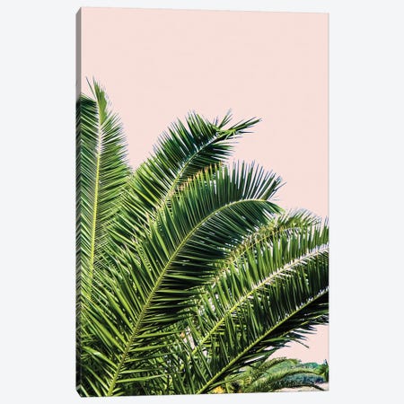 Tropical Leaves on Blush I Canvas Print #ACT10} by Acosta Canvas Art