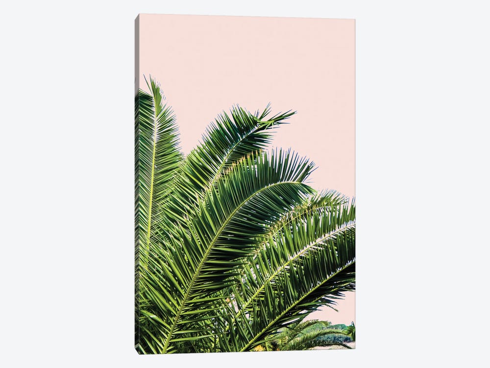 Tropical Leaves on Blush I by Acosta 1-piece Canvas Art Print