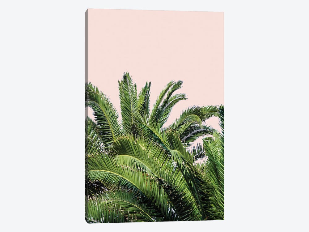 Tropical Leaves on Blush II by Acosta 1-piece Canvas Art