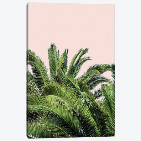 Tropical Leaves on Blush II Canvas Print #ACT11} by Acosta Canvas Artwork