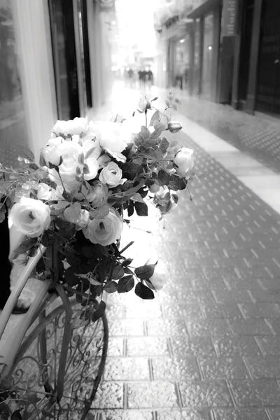 Acosta: Flower Bike by Acosta