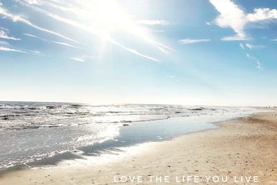 Love The Life You Live by Acosta canvas print