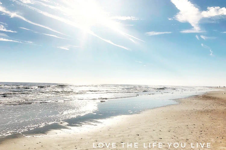 Love The Life You Live