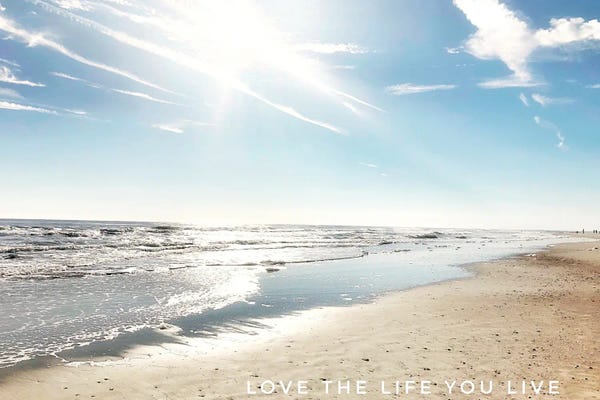 Love The Life You Live