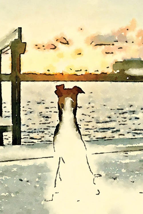 Paws At Sunset