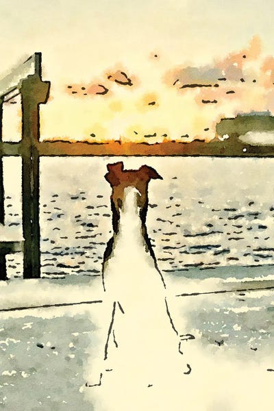 Paws At Sunset