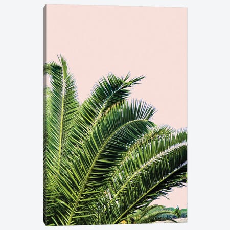 Tropical Leaves On Blush I Canvas Print #ACT42} by Acosta Canvas Print