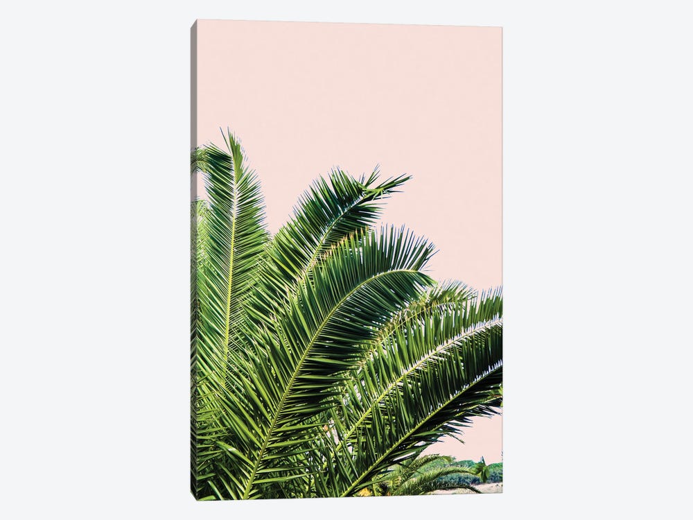 Tropical Leaves On Blush I by Acosta 1-piece Canvas Artwork