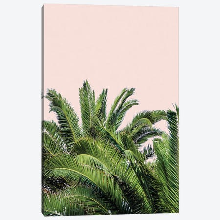 Tropical Leaves on Blush II Canvas Print #ACT43} by Acosta Art Print