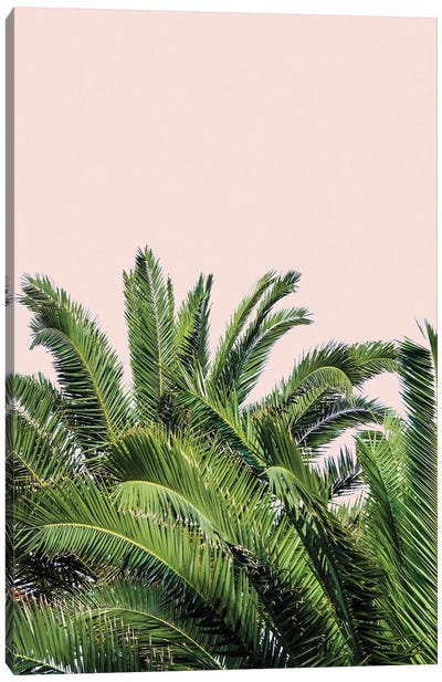 Tropical Leaves on Blush II Canvas Art Print
