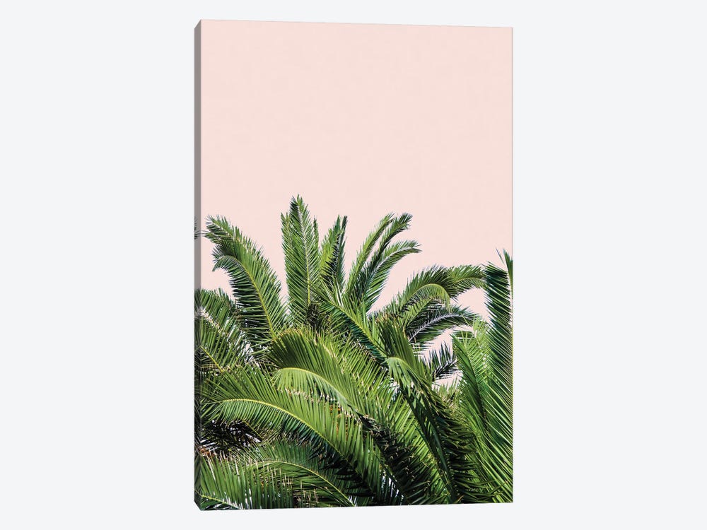 Tropical Leaves on Blush II by Acosta 1-piece Art Print