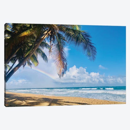 Under the Palms Canvas Print #ACT44} by Acosta Canvas Wall Art