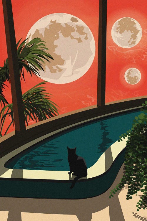 An Unusual Evening