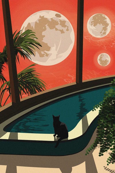 An Unusual Evening